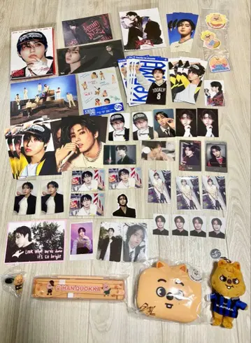 straykids skzoo 한 지성 한 쿼카 세트