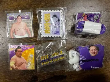 스모 테루노후지 6종 세트