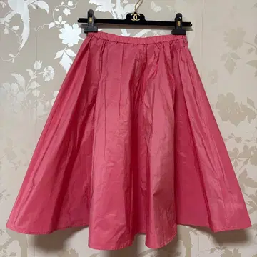 드레 DRESSTERIOR 스커트