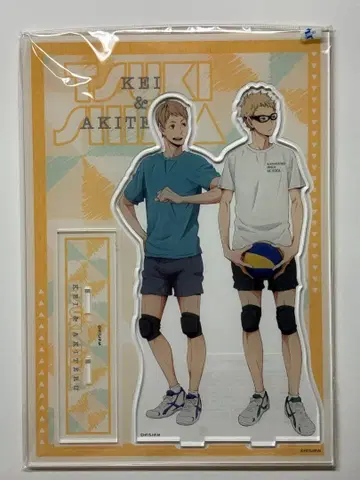 하이큐!! 아크릴 스탠드 혈연 시리즈 츠키시마 케이 츠키시마 아키라