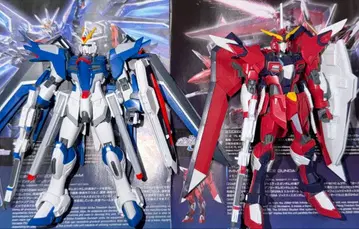 HG 라이징 프리덤 & 이모탈 저스티스 완성품 정크