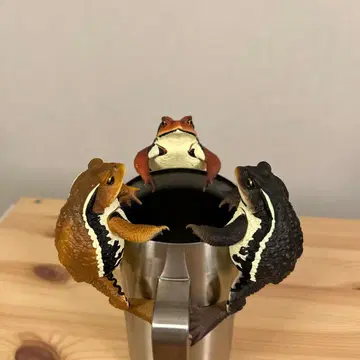 커다란 두꺼비 / 3종 세트 [ 익명 배송 ]