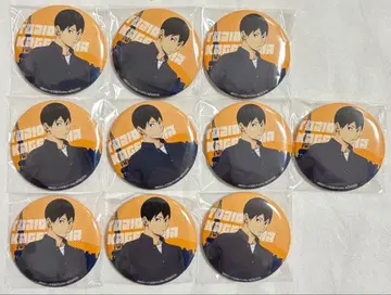 하이큐 도쿄 타워 카게야마 토비오 트레이딩 캔뱃지 10개