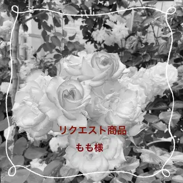 모모님 리퀘스트 상품