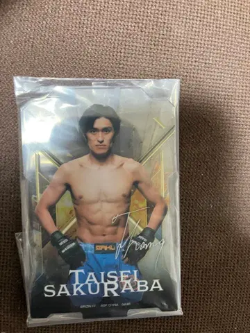 사쿠라바 카즈시 사인 포함 피규어