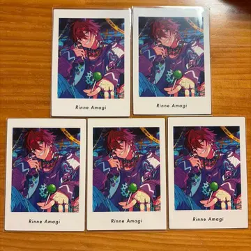 파샤츠 vol.6 아마기 린네 군