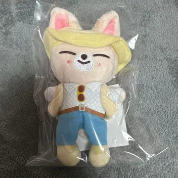 StrayKids 아이엔 JYP 팝업 FoxI.Ny