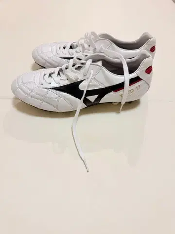 모렐리아2 크로스 스티치 교체식