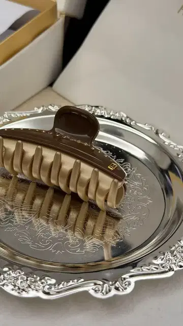 ALEXANDRE DE PARIS 헤어 클립 중형 베이지