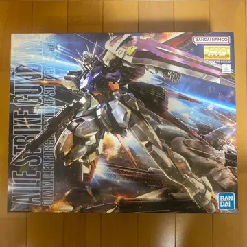 MG 1/100 에일 스트라이크 건담 Ver.RM