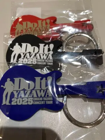 야자와 에이요시 Do It! YAZAWA 2025 키링 세트 일본 무도관