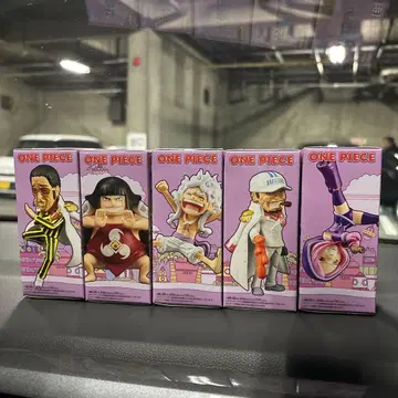 에그헤드 컴플리트 5 상자