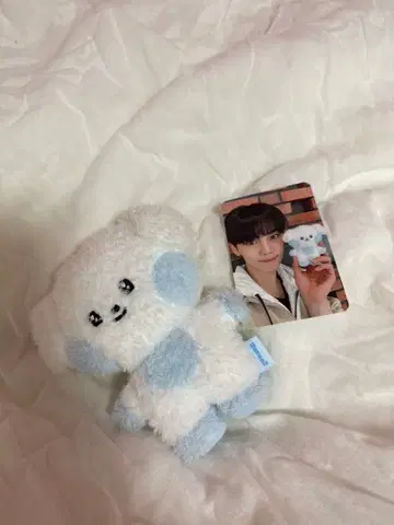 zeroni 니니 봉제 인형 ZEROBASEONE 규빈