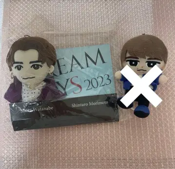 [미사용 새상품] DREAM BOYS 드림보이즈 치비누이 와타나베 쇼타군