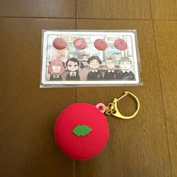 SPY x FAMILY 스파이 패밀리 유니버셜 랜덤 키링 마카롱