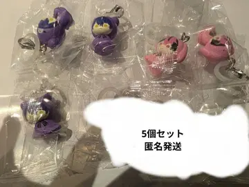 시쿠포니 메지루시 액세서리 이루마 LAN 5개 세트