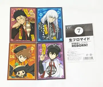 REBORN 츠나 히바리 스쿠알로 잔자스 JF 엔스카이 생 브로마이드