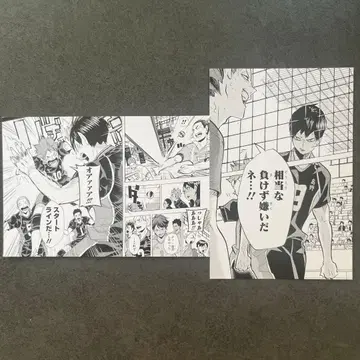 하이큐 콤비 세트 히나타 쇼요 카게야마 토비오 엽서 2장 세트