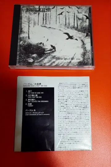 BURZUM 버줌 백일몽