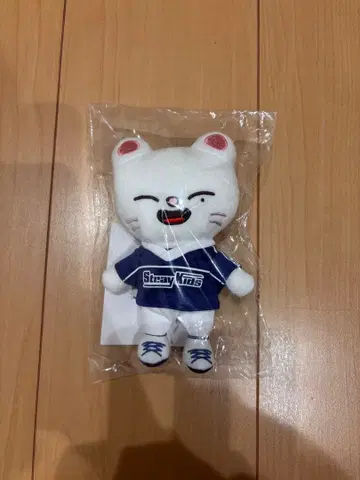 Stray Kids 봉제 인형 키링