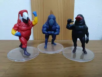 가치무치 새 3개 세트 까마귀 블랙 오리 레드 콩고 앵무새