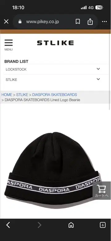 DIASPORA SKATEBOARDS 비니