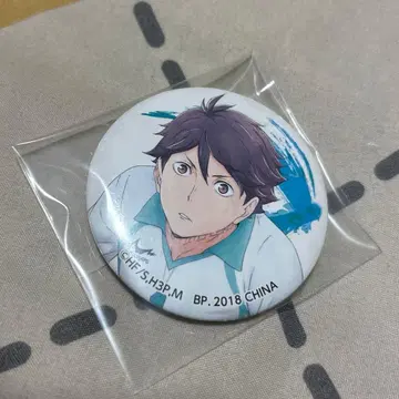 하이큐 오이카와