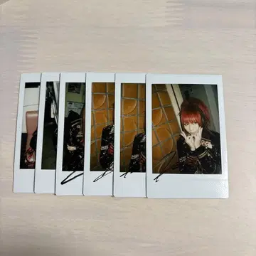 Royz 공대 폴라로이드 6장 세트