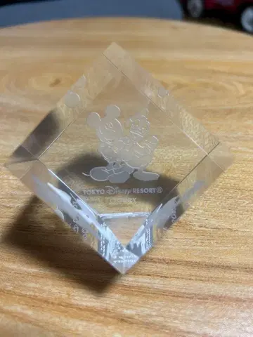 도쿄 디즈니 리조트 미키 도날드 크리스탈