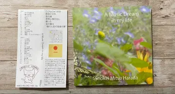 A Music Dream in my life 하라다 미츠
