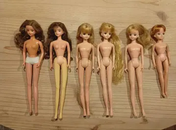 리카짱 인형 외 (의상 포함)