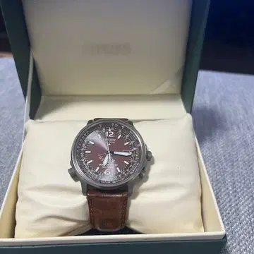CITIZEN Eco-Drive DURATECT 프로 마스터 시계
