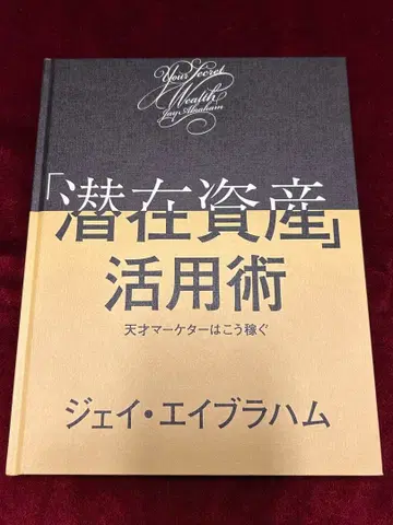 [ 잠재 자산 ] 활용술 제이 에이브러햄