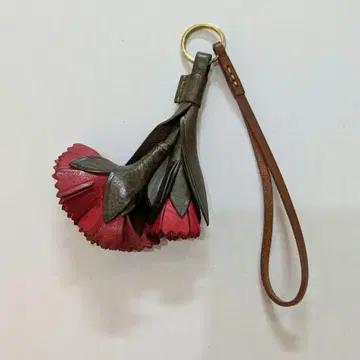 겐텐 참 카네이션