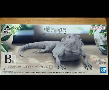 비어디드래곤 B상