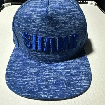 SHANK 캡