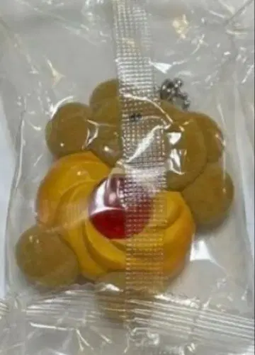 메일리 파라다이스 가챠