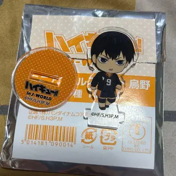 하이큐 카게야마