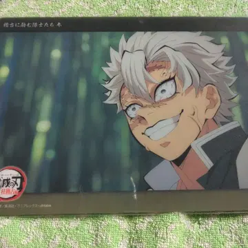 시나즈가와 사네미 빅 클리어 카드 WEBSHOP 복권