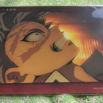 시나즈가와 사네미 빅 클리어 카드 WEBSHOP 복권