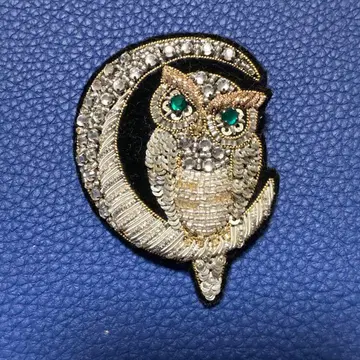 칠리아 올빼미와 달 비즈 자수 브로치 타가와 케이지