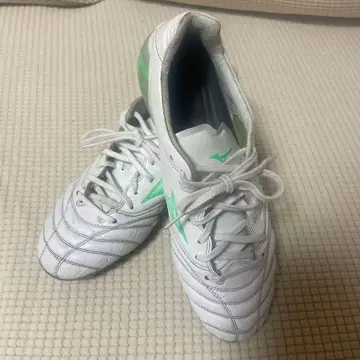 미즈노 모나르시다 네오 3 엘리트 25cm