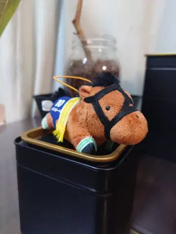 [메지로 도베르] 서러브레드 컬렉션