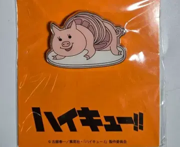 하이큐!! 시마다 마트 핀즈 스탠드 핀 배지 아베일