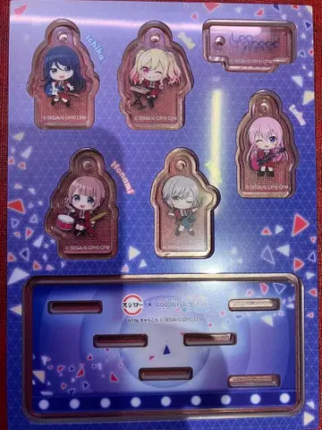 스시로 콜라보 프로세카