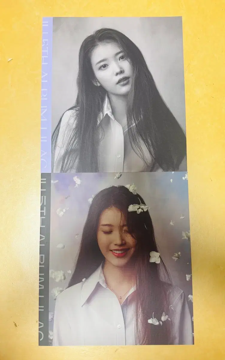 Iu Lilac album photobook 2 types wts