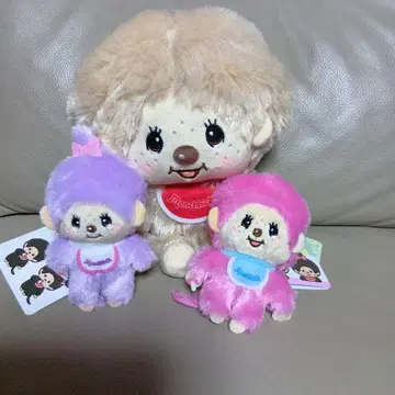 몬시츄 봉제 인형 세트 (베이지 보라색 핑크)