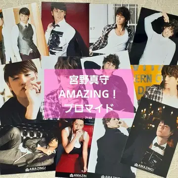 미야노 마모루 AMAZING! 브로마이드 12장 세트 마모라이