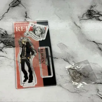 가정교사 히트맨 REBORN! 아크릴 스탠드 고쿠데라 하야토