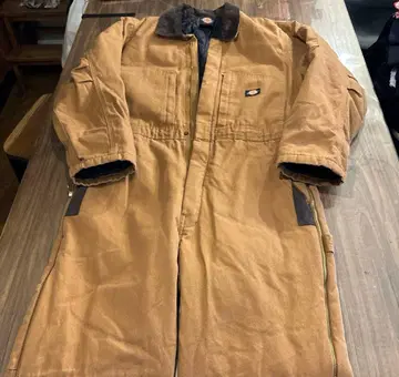 Dickies 브라운 오버롤
